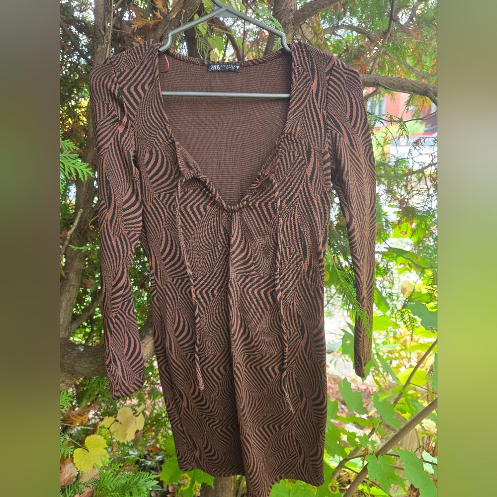 Zara | Brown Bodycon Dress